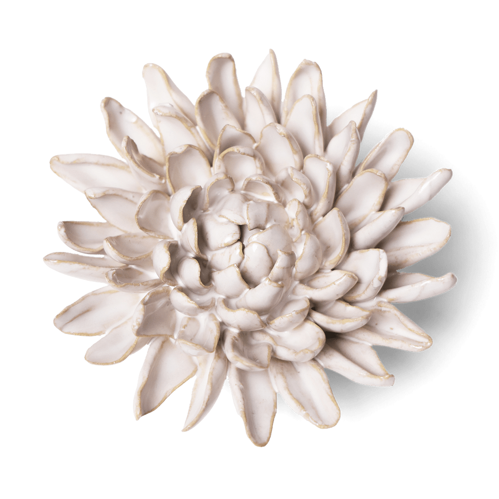 Coastal Ceramic Flower Ivory Chrysanthemum - Chive UK