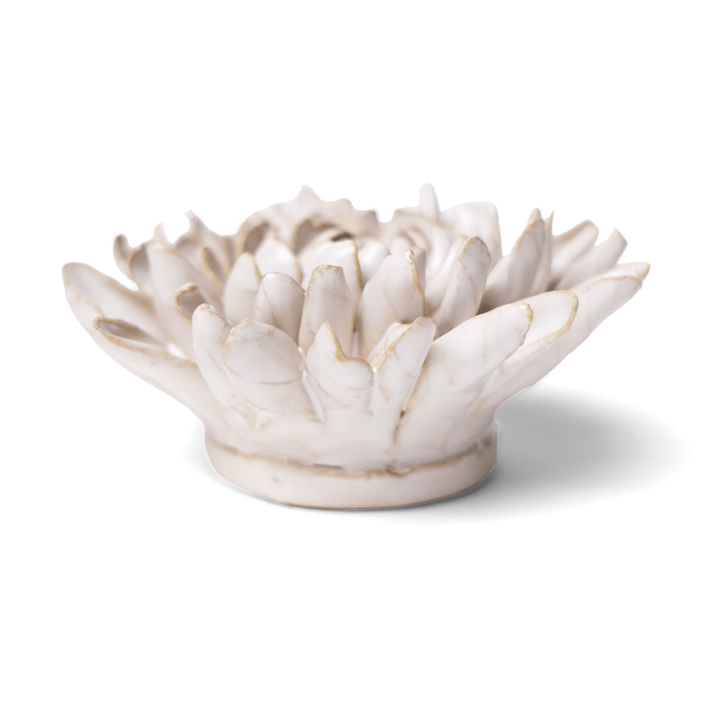 Coastal Ceramic Flower Ivory Chrysanthemum - Chive UK