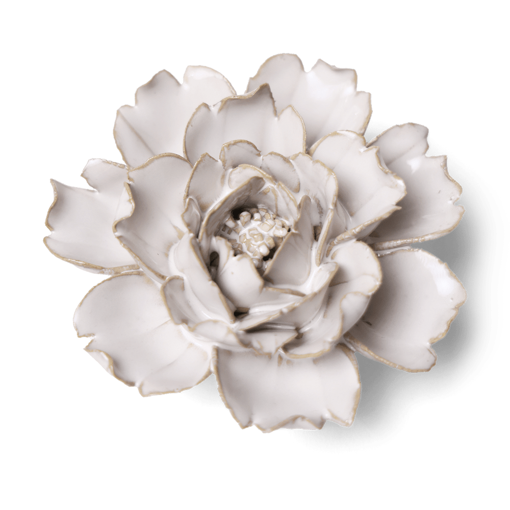 Coastal Ceramic Flower Ivory Rose - Chive UK