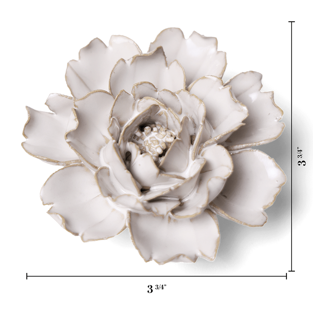 Coastal Ceramic Flower Ivory Rose - Chive UK