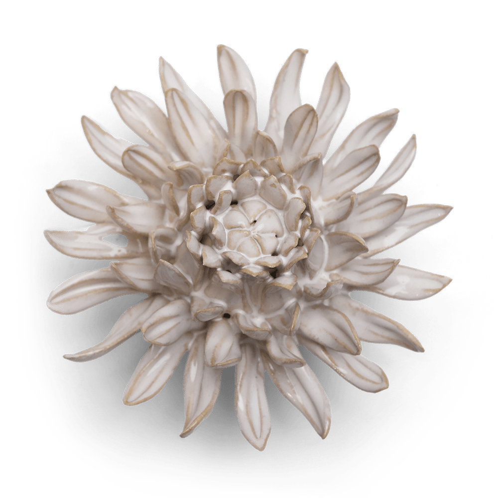 Coastal Ceramic Flower Ivory Spider Mum - Chive UK