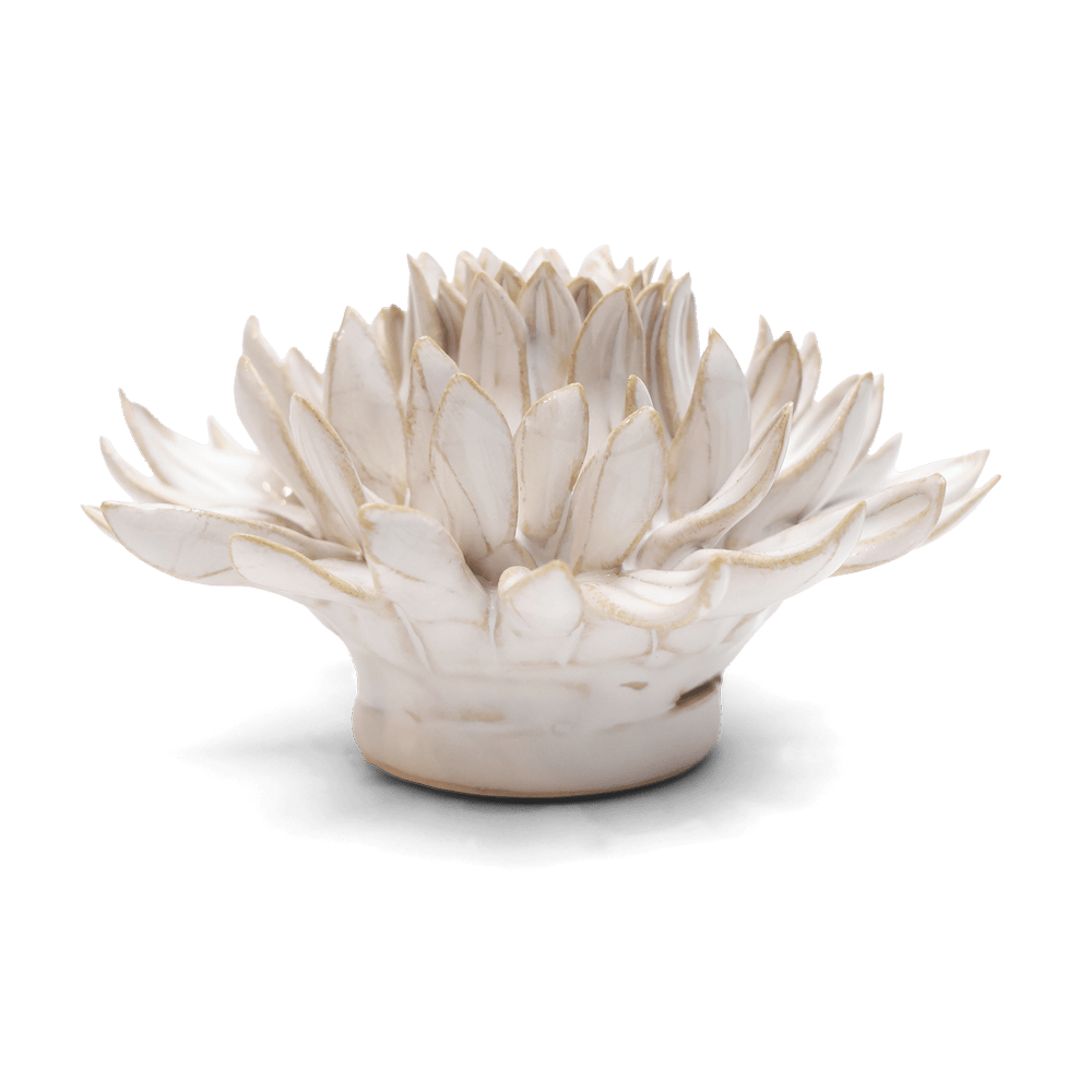 Coastal Ceramic Flower Ivory Spider Mum - Chive UK