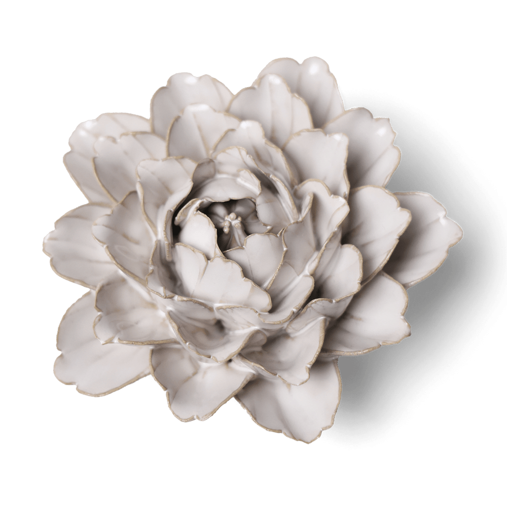 Coastal Ceramic Flower Ivory Zinnia - Chive UK