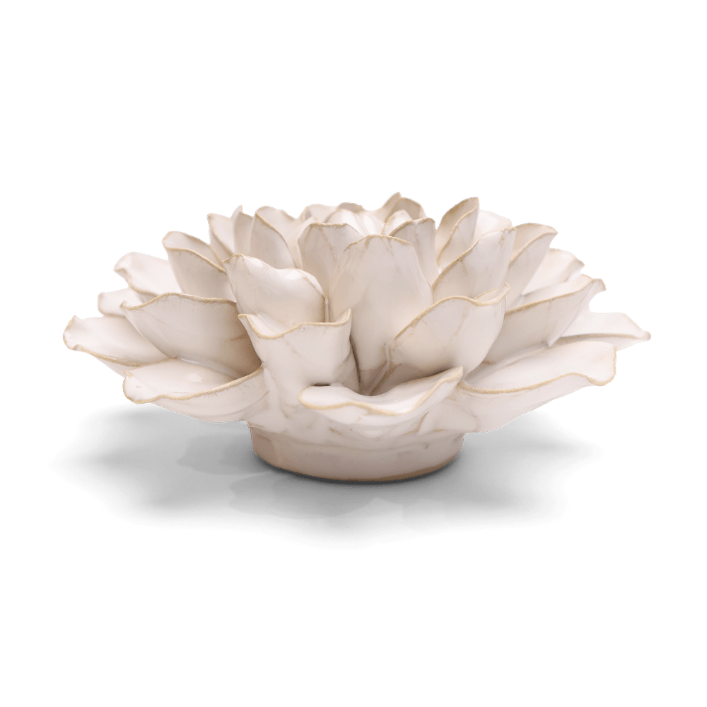 Coastal Ceramic Flower Ivory Water Lily - Chive UK