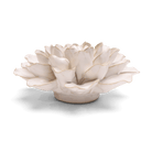 Coastal Ceramic Flower Ivory Water Lily - Chive UK