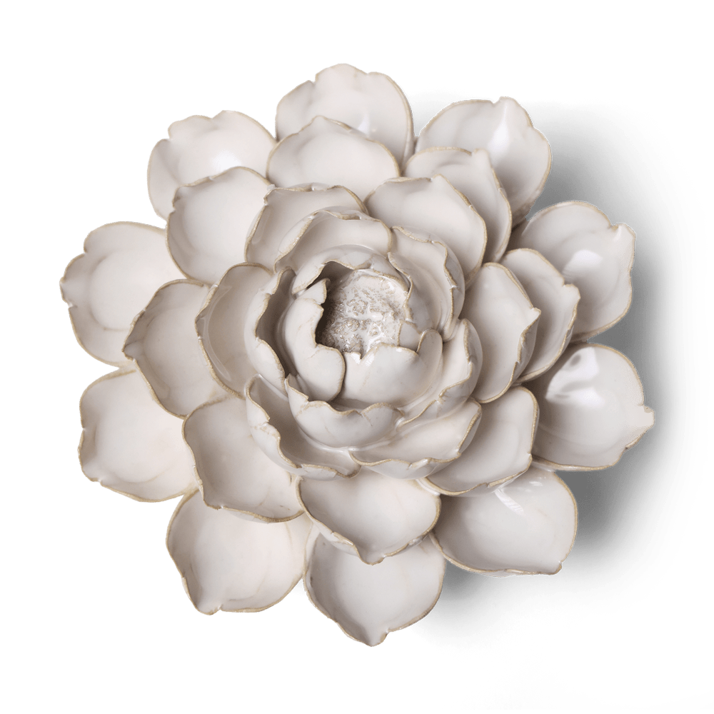 Coastal Ceramic Flower Ivory Cabbage Flower - Chive UK