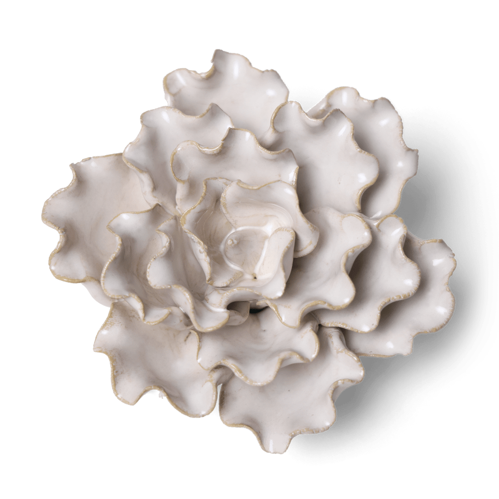 Coastal Ceramic Flower Ivory Sea Lettuce Medium - Chive UK