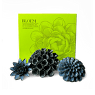 Ceramic Flower Bloem Box Set - Chive UK