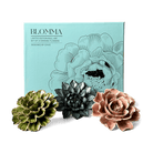 Ceramic Flower Blomma Box Set - Chive UK