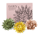 Ceramic Flower Dawn Box Set - Chive UK