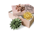 Ceramic Flower Dawn Box Set - Chive UK