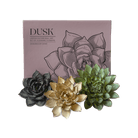 Ceramic Flower Dusk Box Set - Chive UK