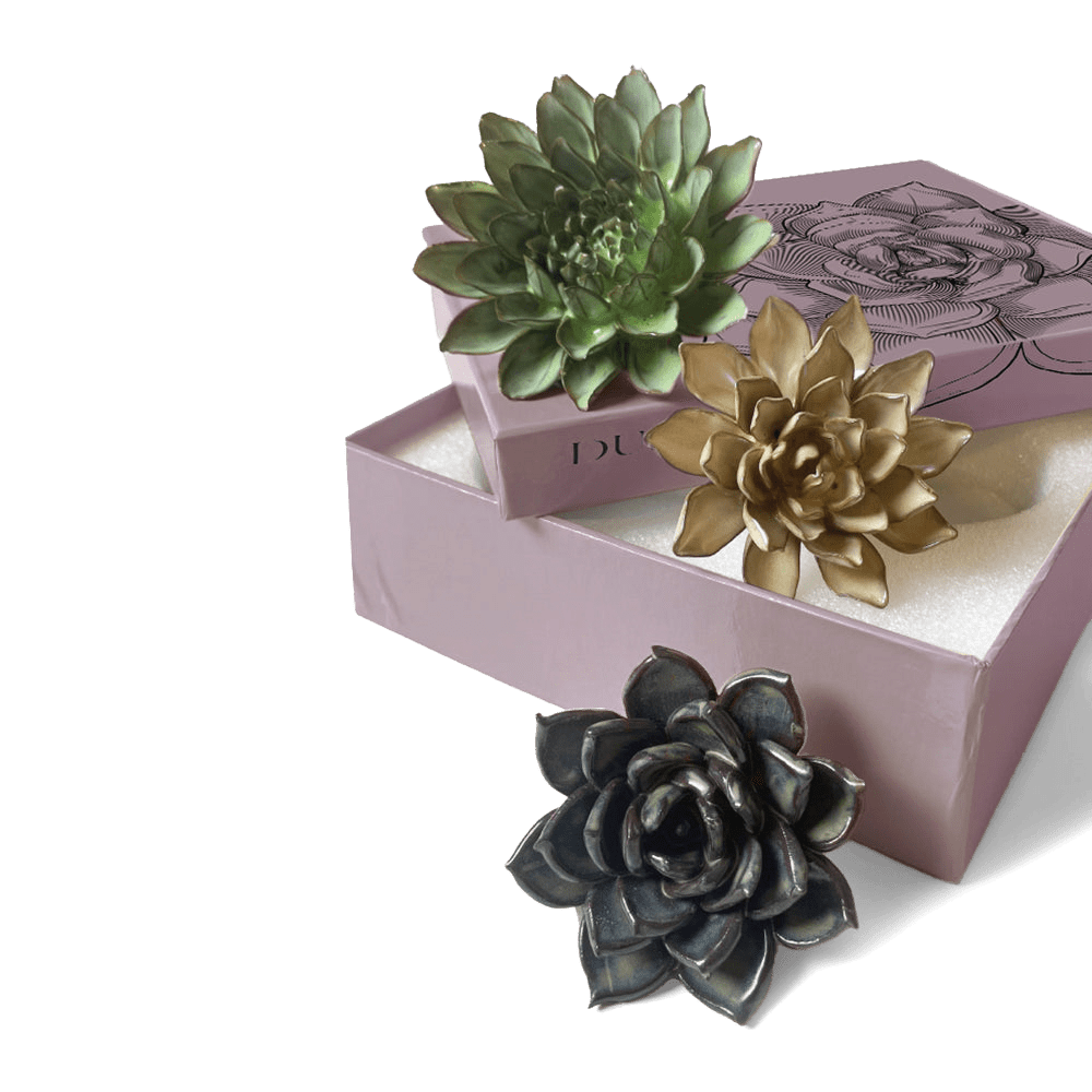 Ceramic Flower Dusk Box Set - Chive UK