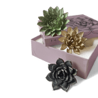 Ceramic Flower Dusk Box Set - Chive UK