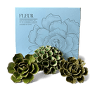 Ceramic Flower Fleur Box Set - Chive UK