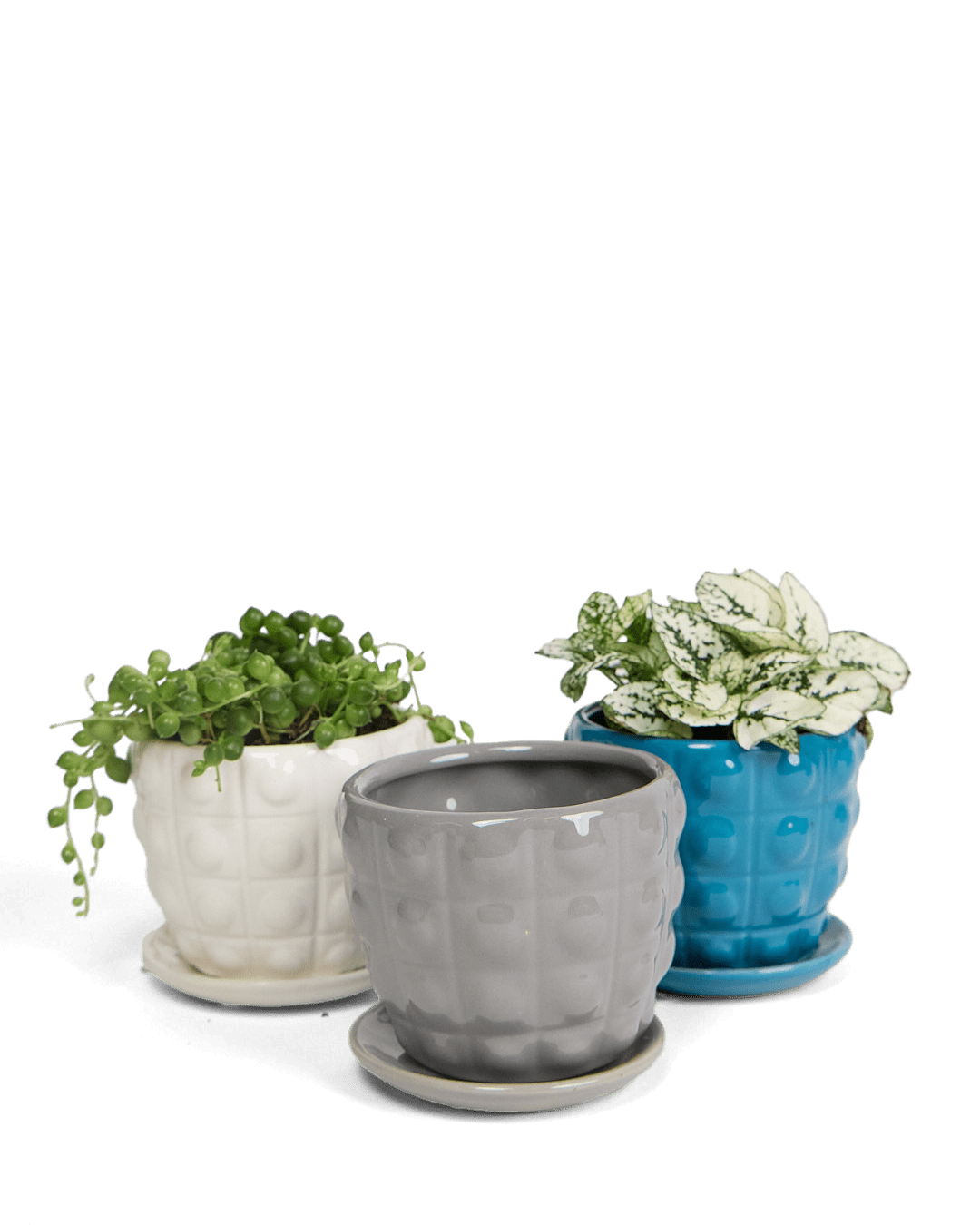 Convex Ceramic Pot With Drainage Hole And Saucer - Chive UK