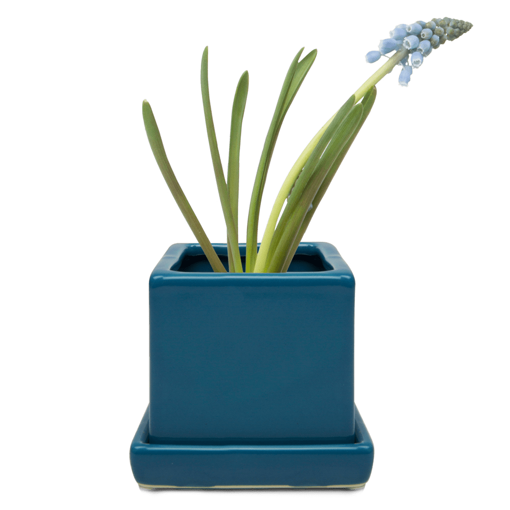 Cube & Saucer Ceramic Pot With Drainage Hole - Chive UK