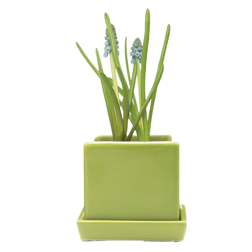 Cube & Saucer Ceramic Pot With Drainage Hole - Chive UK