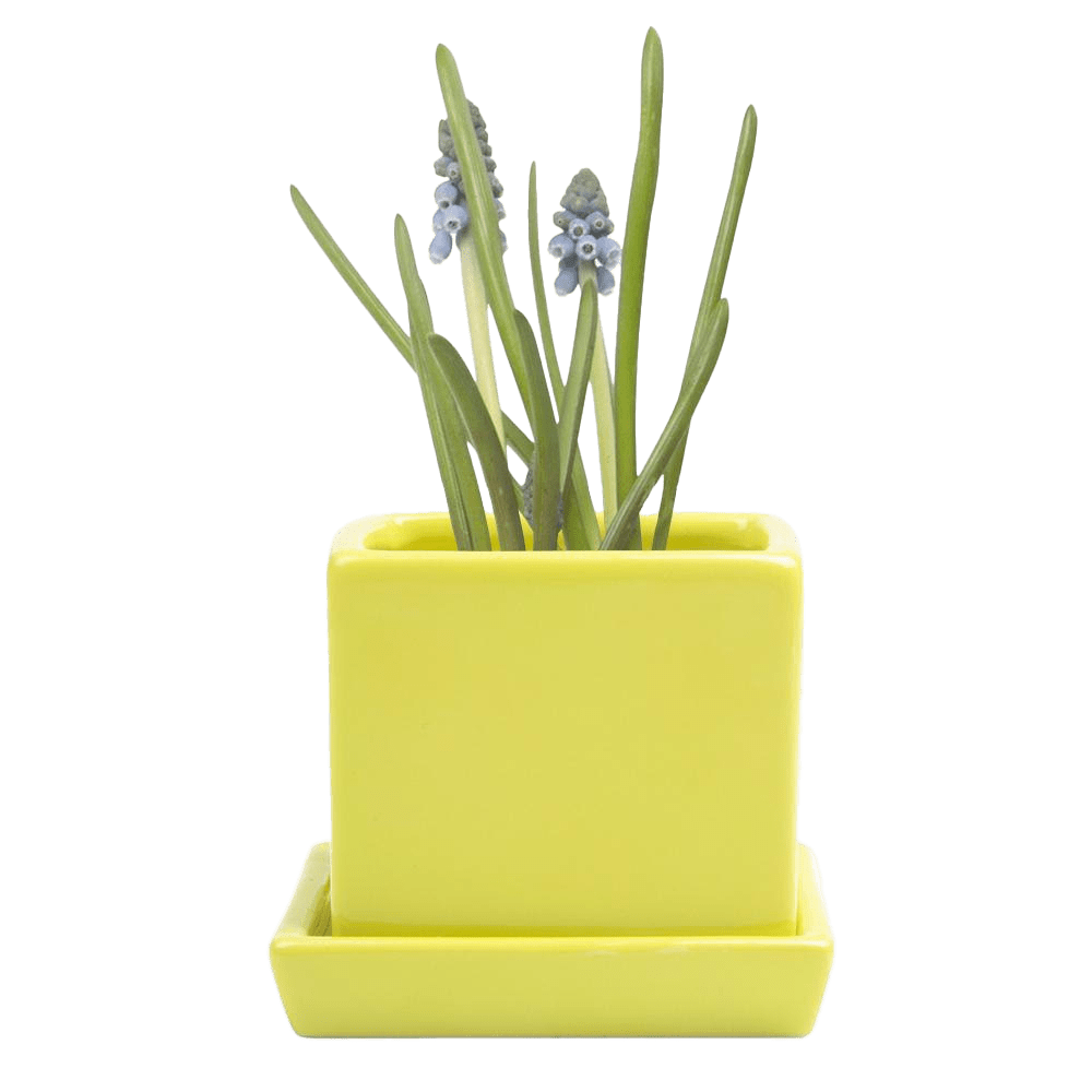 Cube & Saucer Ceramic Pot With Drainage Hole - Chive UK