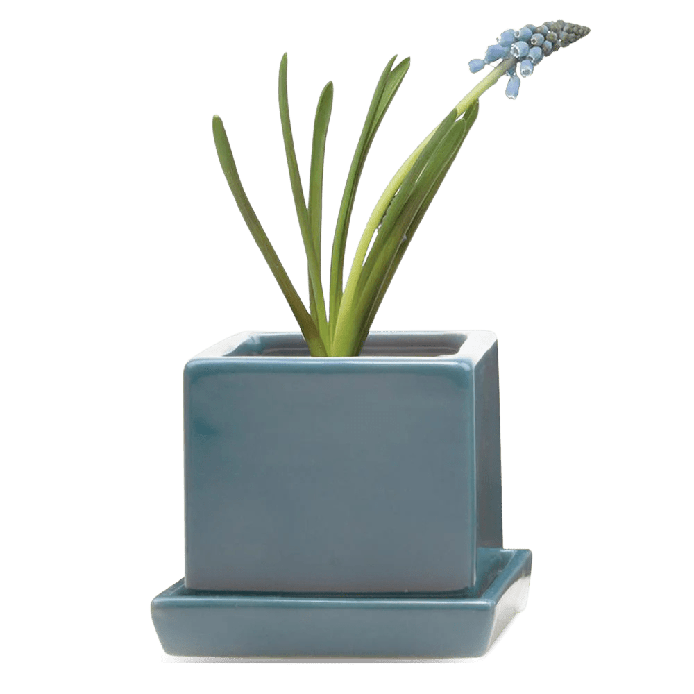 Cube & Saucer Ceramic Pot With Drainage Hole - Chive UK