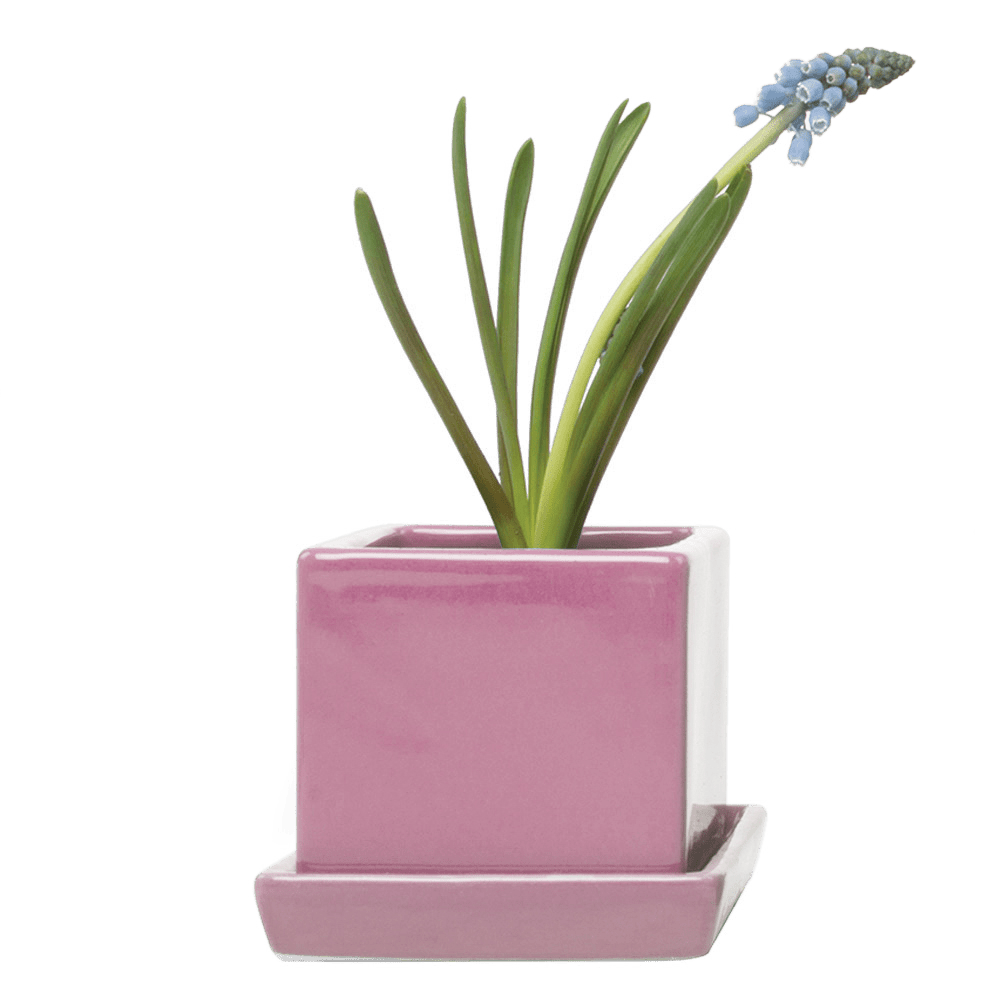 Cube & Saucer Ceramic Pot With Drainage Hole - Chive UK