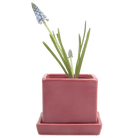 Cube & Saucer Ceramic Pot With Drainage Hole - Chive UK