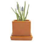 Cube & Saucer Ceramic Pot With Drainage Hole - Chive UK