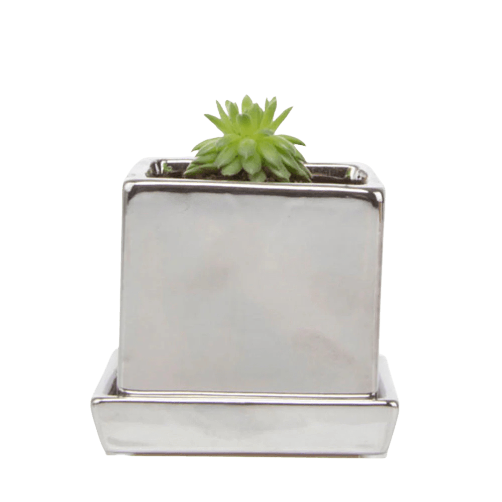 Cube & Saucer Ceramic Pot With Drainage Hole - Chive UK