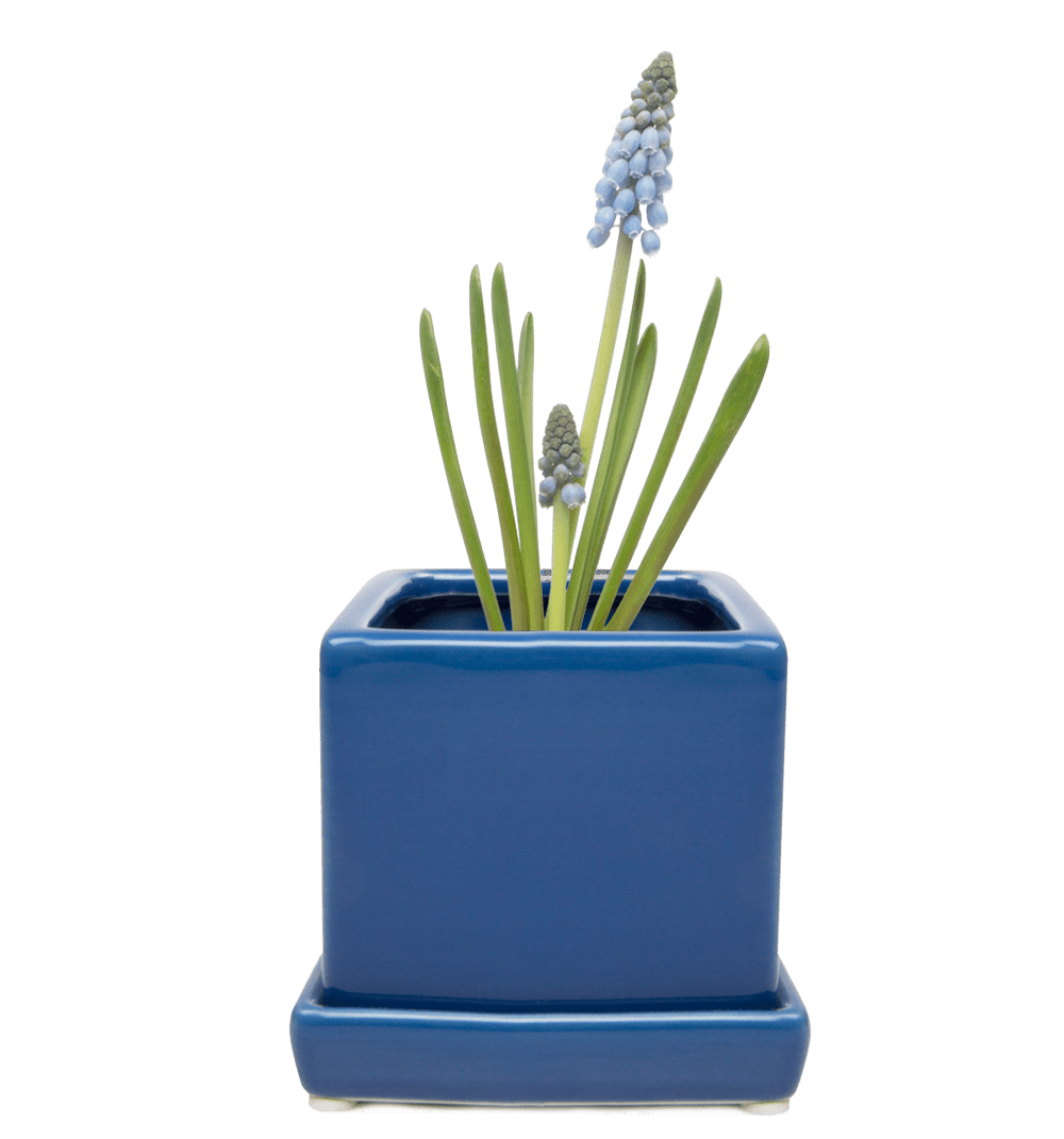 Cube & Saucer Ceramic Pot With Drainage Hole - Chive UK