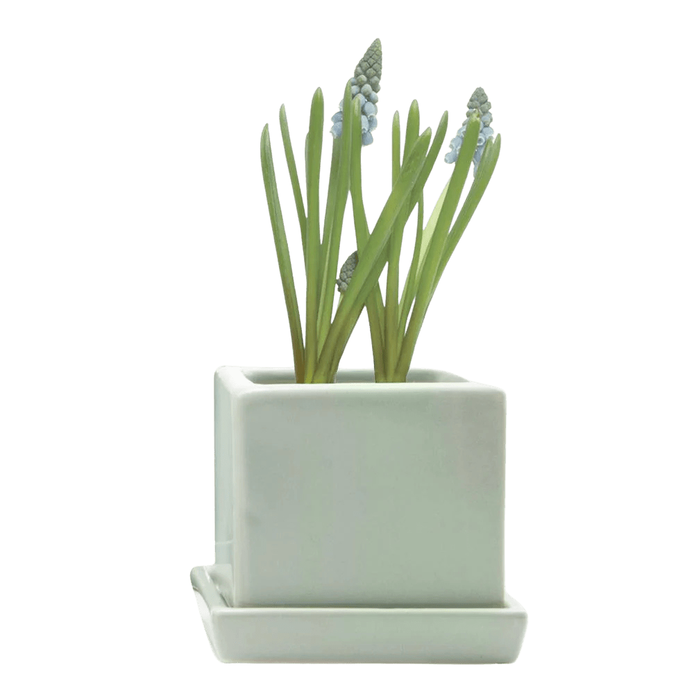 Cube & Saucer Ceramic Pot With Drainage Hole - Chive UK