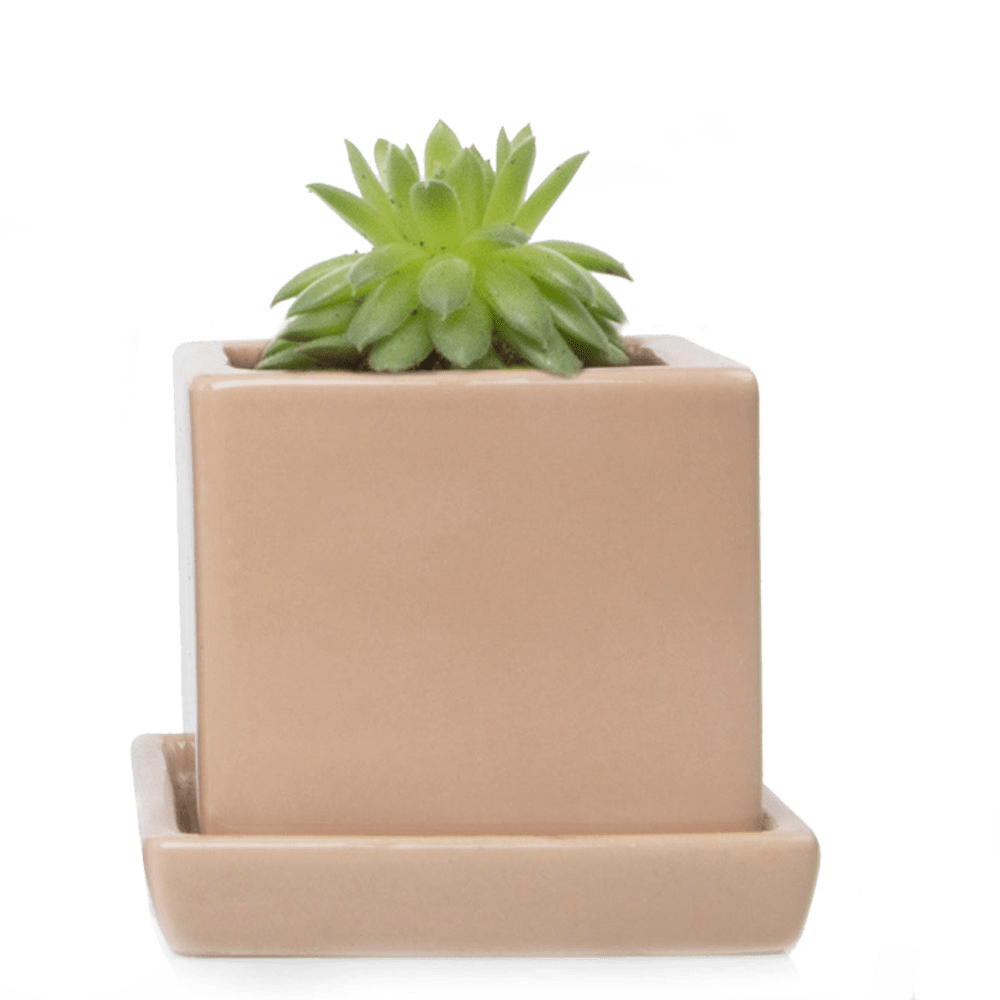 Cube & Saucer Ceramic Pot With Drainage Hole - Chive UK