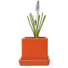 Cube & Saucer Ceramic Pot With Drainage Hole - Chive UK