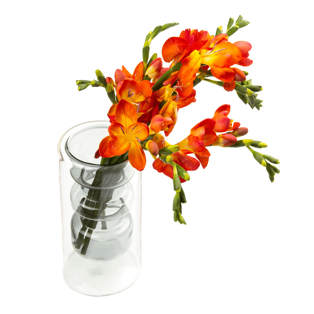 Cylinder Glass Modern Flower Vase - Chive UK