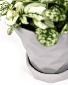 Diamond Porcelain Modern Indoor Plant Pot With Saucer - Chive UK