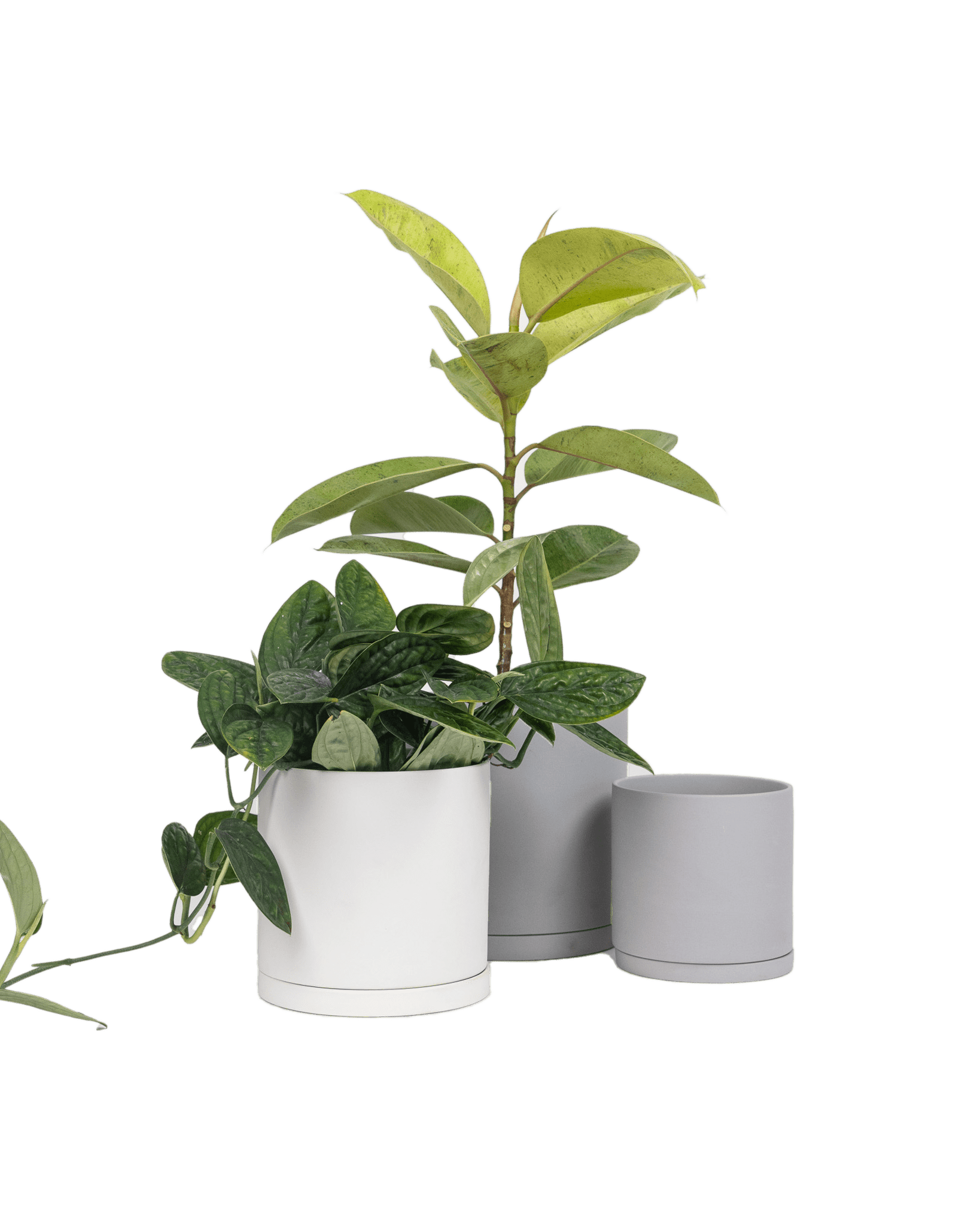 Dojo Porcelain Modern Indoor Plant Pot With Saucer - Chive UK