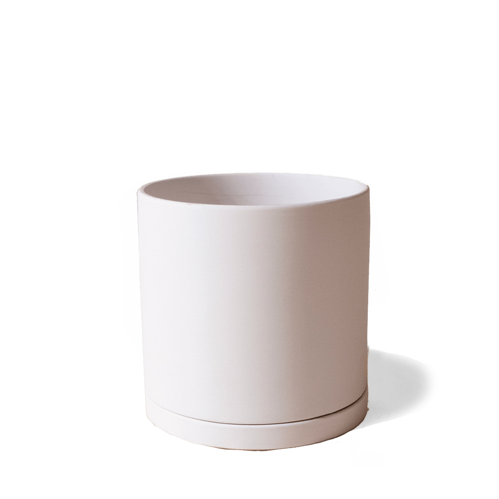 Dojo Porcelain Modern Indoor Plant Pot With Saucer - Chive UK