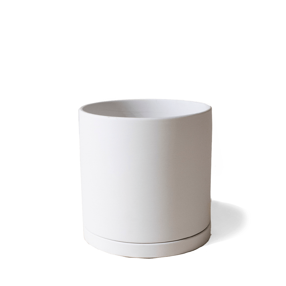 Dojo Porcelain Modern Indoor Plant Pot With Saucer - Chive UK