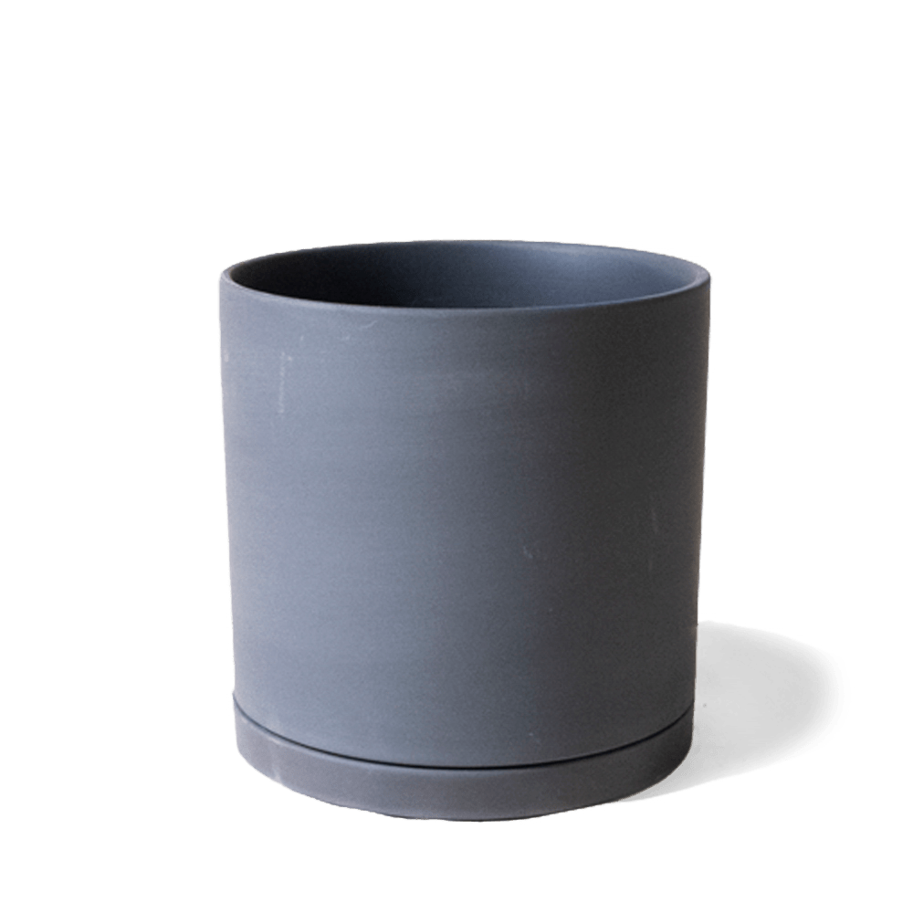 Dojo Porcelain Modern Indoor Plant Pot With Saucer - Chive UK