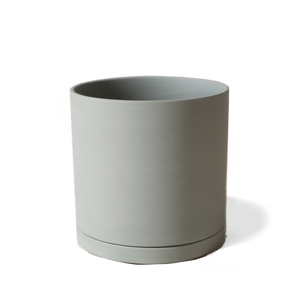 Dojo Porcelain Modern Indoor Plant Pot With Saucer - Chive UK