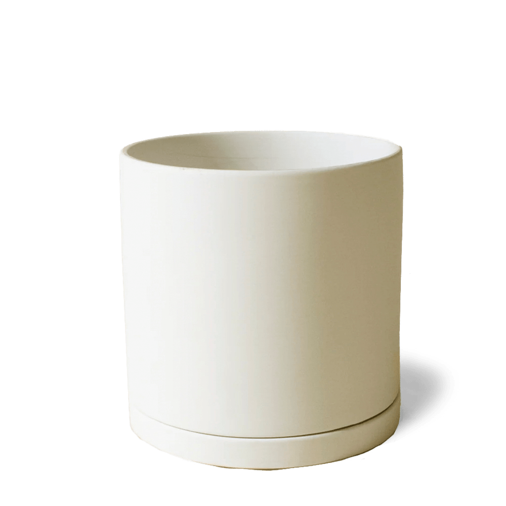 Dojo Porcelain Modern Indoor Plant Pot With Saucer - Chive UK