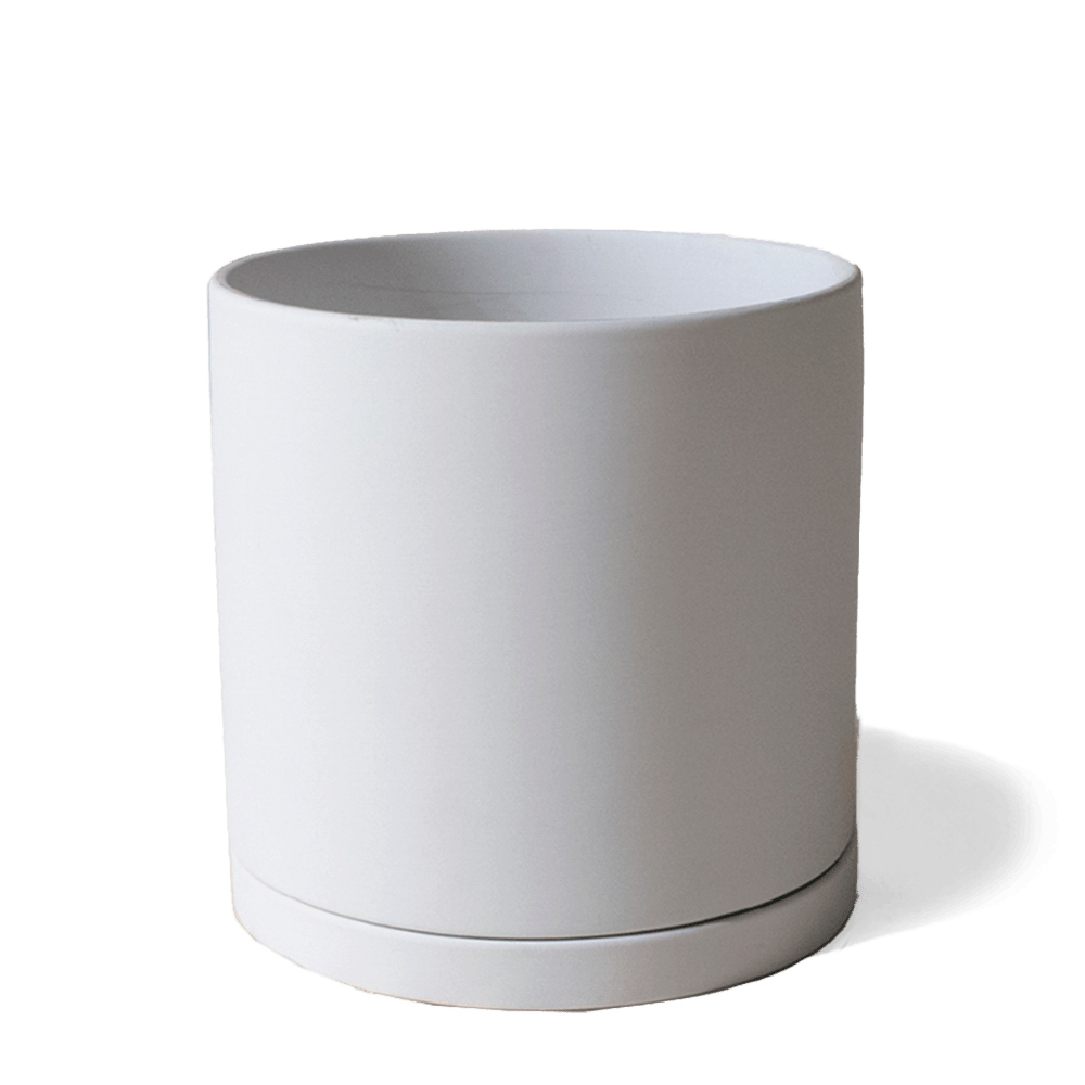 Dojo Porcelain Modern Indoor Plant Pot With Saucer - Chive UK