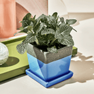 Duo Ceramic Planter With Drainage Hole And Saucer - Chive UK