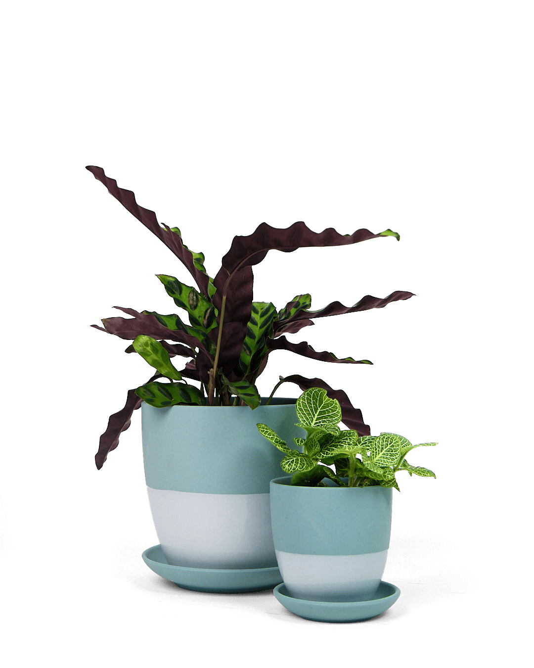 Dyad Porcelain Modern Indoor Plant Pot With Saucer - Chive UK