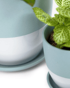 Dyad Porcelain Modern Indoor Plant Pot With Saucer - Chive UK