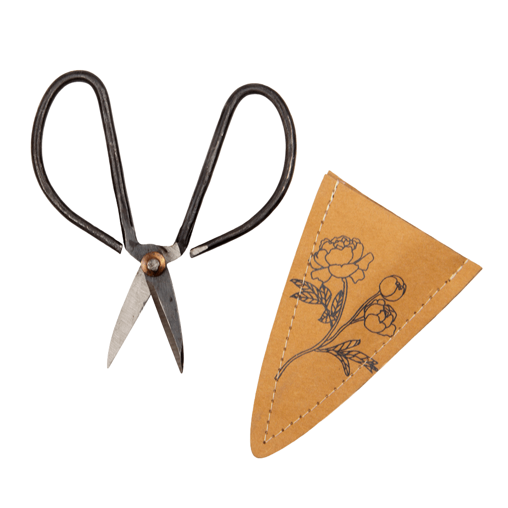 Edward Clippers Ikebana Pruning Scissors - Chive UK