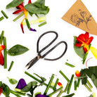 Edward Clippers Ikebana Pruning Scissors - Chive UK