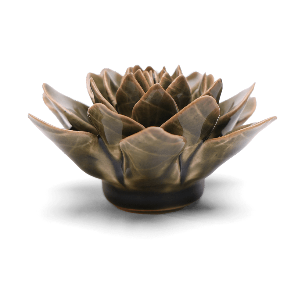 English Garden Ceramic Flower Dark Green Echiveria - Chive UK