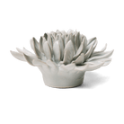 English Garden Ceramic Flower Mint Mum - Chive UK