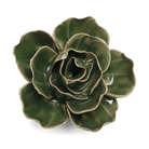 English Garden Ceramic Flower Green Ranunculus - Chive UK