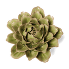 English Garden Ceramic Flower Green Tree Peony - Chive UK